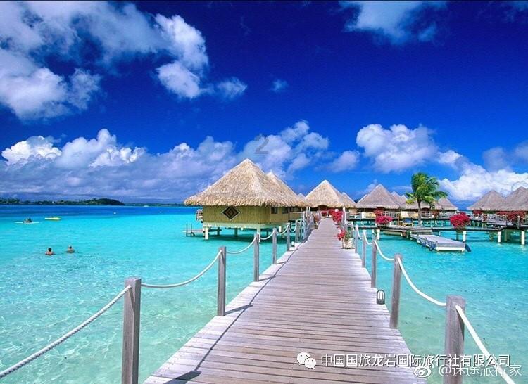 水果时尚风格